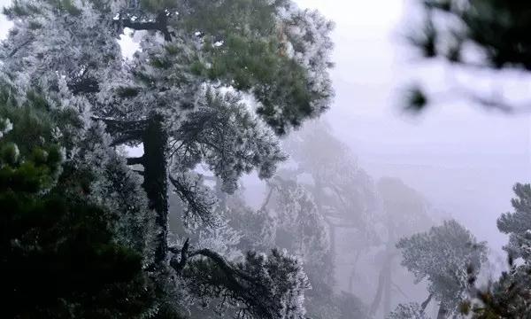 未知岛屿